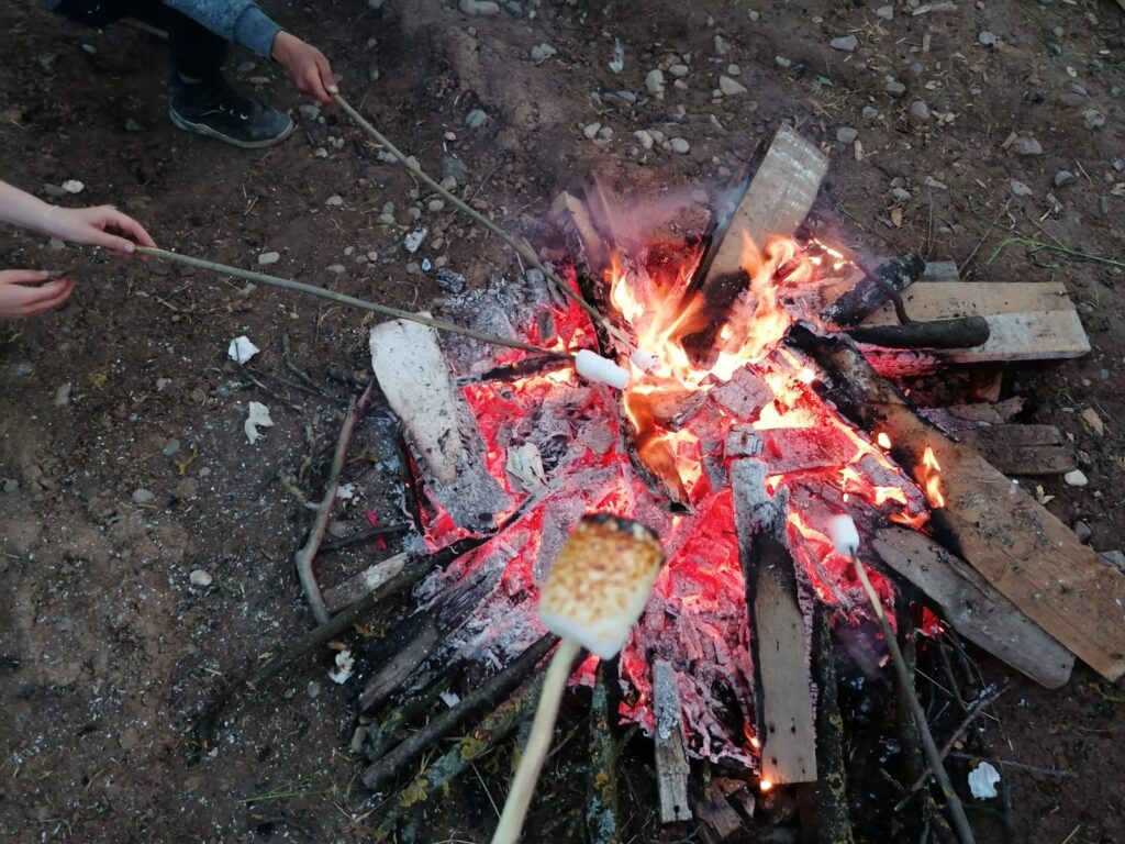La foc EduBuzz Augustin